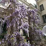 Aricia Otel Ariccia