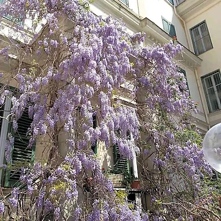 Aricia 3* Ariccia